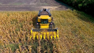 Жатка для уборки кукурузы "Flora Corn 870" 8ми рядковая - 2
