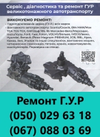 Сервіс , діагностика та ремонт ГУР великотонажного автотранспорту. - 6