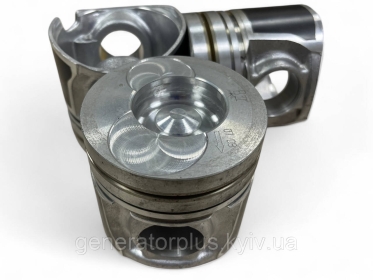 Поршень 102 мм Weichai YZ4102ZLQ BZQ 3.4 - 1