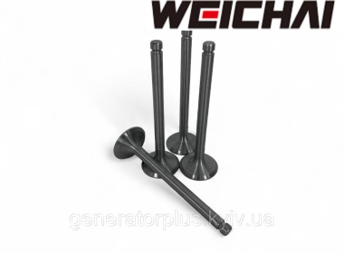 Клапана впускні YUCHAI (495-03020B)