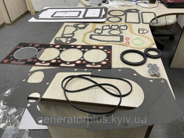 Комплект прокладок на двигун ZHAG2-50 ZN4102, ZH4105 (K4100-01002) 4100K Ricardo - 2