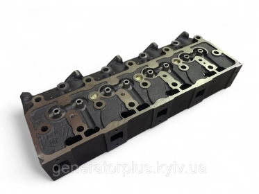 Головка блока циліндрів 495-03101B  Yuchai Ricardo 4102 4105
