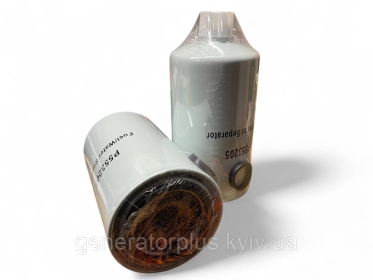 Паливний фільтр P553205 (P550659/FS19776/SN55110/146695/FS550659) Різьба 1"-14 - 1