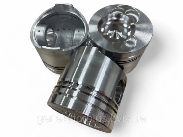Поршнева група YN4102QB (4102QBZ) (підходить на генератори) - 2