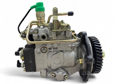ТНВД генераторне ADS-VE4/11F1900L003 000106BV42B A17112562 NJ-VE4/11F1900LNJ03 - 1