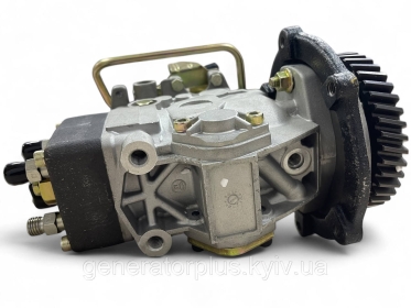 ТНВД генераторне ADS-VE4/11F1900L003 000106BV42B A17112562 NJ-VE4/11F1900LNJ03 - 4