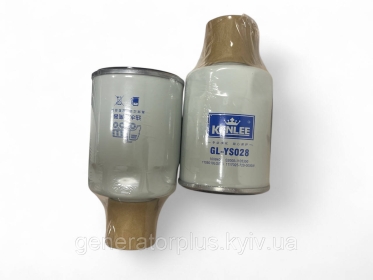 Паливний фільтр 1000401 GL-YS028 S2000-1105350 W0017-T JAC1228 1105010LG010 1117025-720-0000W1-14 - 1