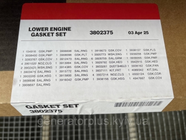 Комплект прокладок нижній Cummins 4BT 3802375 - 6