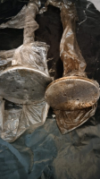 Запчасти дизелей NVD-24,NND-26,NVD-36,NVD-48,VD26/20,VDS29/24,SCODA,WOLA,WARTSILA,CAT,MANN,DOITZ,6чн25/34,ДР30/50,6ЧН18/22,3Д6-3Д12,6Ч12/14,4Ч10.5/13, - 15