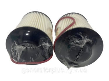 Фільтр паливний вставка ELN1-9156-AA (1105102B6544 / 1111402XED95 / CLX-98 / 1111402XED9) - 1