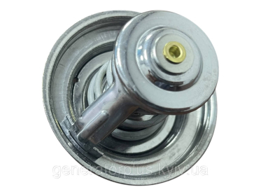 Термостат Ricardo 6105/Baudoin 4M - 1