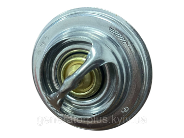 Термостат Ricardo 6105/Baudoin 4M - 2