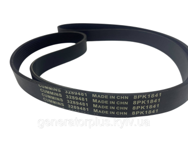 Ремінь поліклиновий 8PK1841 / 3928847
