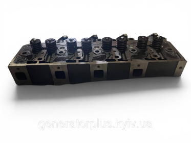 Головка блока циліндрів у зборі з клапанами Ricardo 4100 / 4102 / 4105 - 1